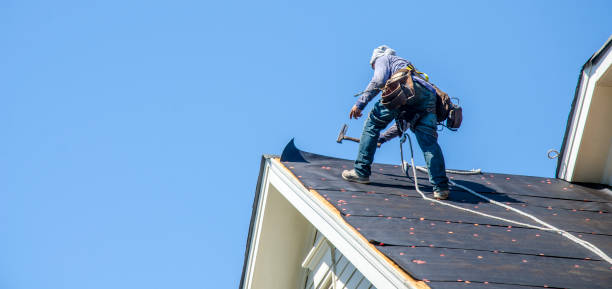 Best Gutter Installation and Roofing  in Cherry Brah, NC